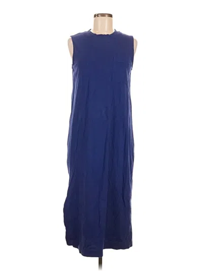 Pre-owned Everlane Casual Dress In Blue