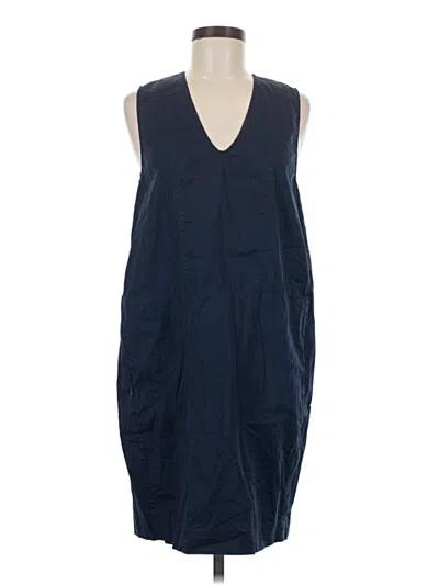 Pre-owned Everlane Casual Dress In Blue