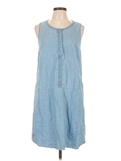 Pre-owned Everlane Casual Dress In Blue