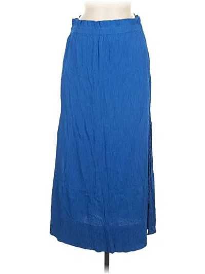 Pre-owned Everlane Casual Skirt In Blue