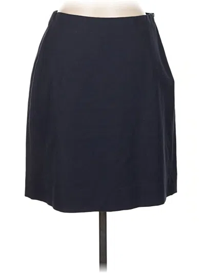 Pre-owned Everlane Casual Skirt In Blue
