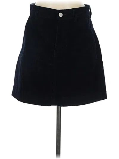 Pre-owned Everlane Casual Skirt In Blue