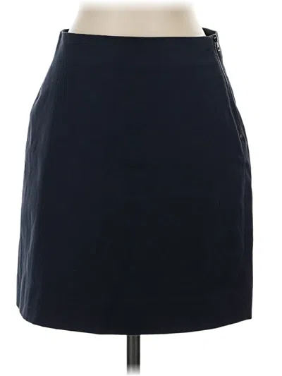 Pre-owned Everlane Casual Skirt In Blue