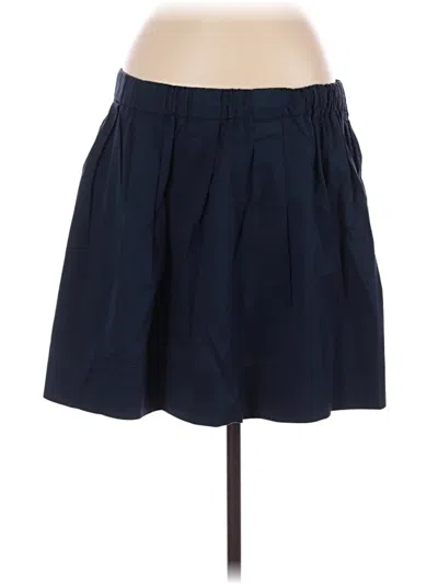 Pre-owned Everlane Casual Skirt In Blue