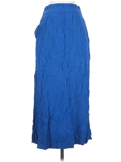 Pre-owned Everlane Casual Skirt In Blue