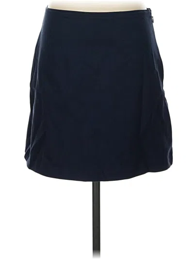 Pre-owned Everlane Casual Skirt In Blue