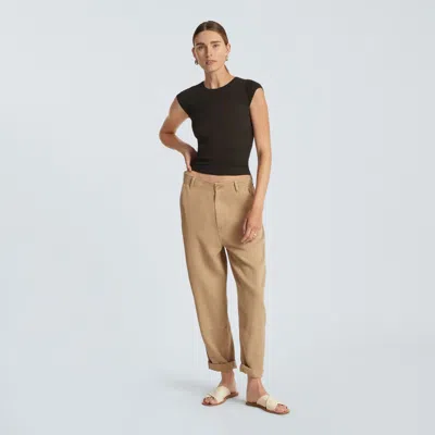 Everlane Chino Pant In Brown
