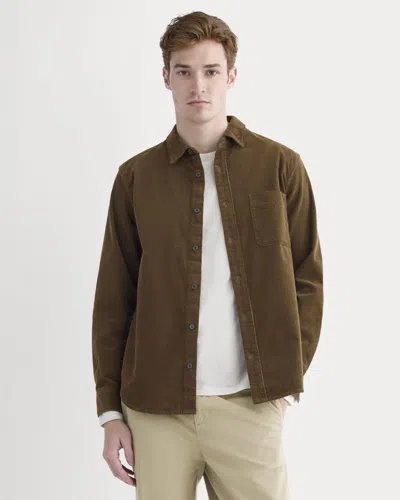 Everlane Classic Shirt In Brown