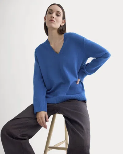 Everlane Classic V Sweater In Classic Blue