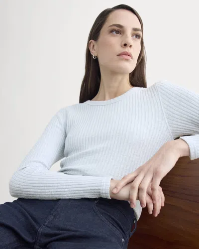 Everlane Cozy Rib Long-sleeve Tshirt In Skywriting In Blue