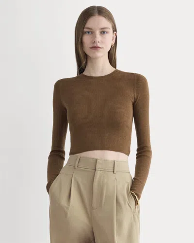 Everlane Cropped Crew Neck Sweater Top In Brown