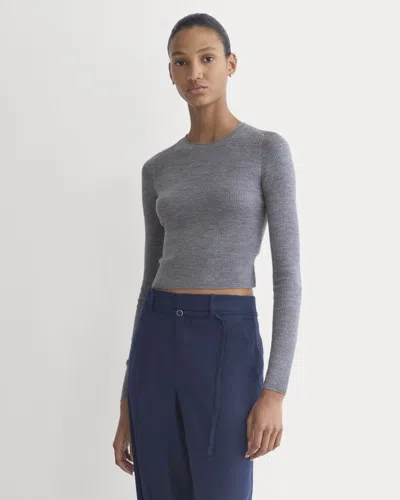 Everlane Cropped Crew Neck Sweater Top In Gray