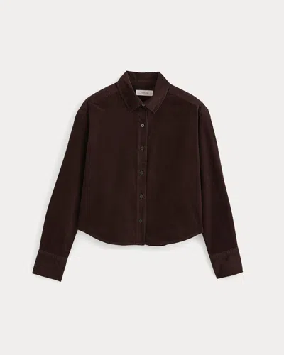 Everlane Cropped Shirt In Pinwale Corduroy In Coffee Bean In Brown