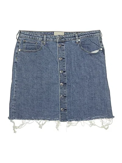 Pre-owned Everlane Denim Skirt In Blue