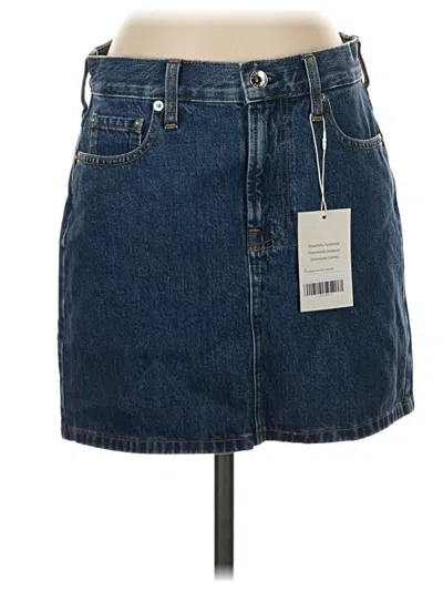 Everlane Denim Skirt In Blue
