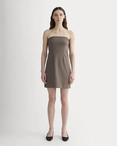 Everlane Dream Strapless Mini Dress In Deep Taupe In Brown