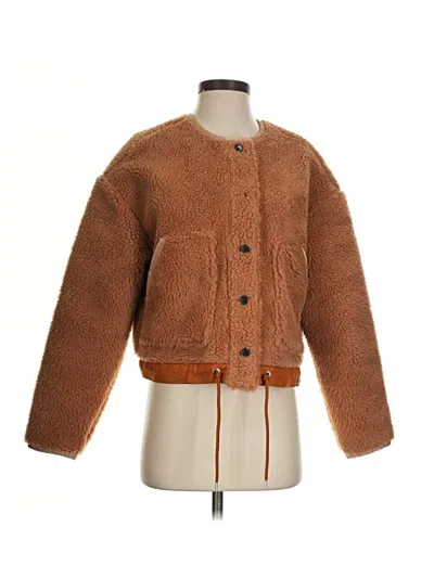 Pre-owned Everlane Faux Fur Jacket In Brown