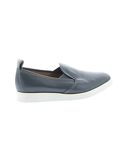 Pre-owned Everlane Flats In Blue