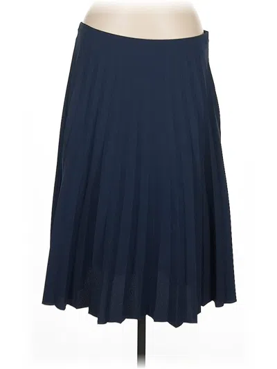 Pre-owned Everlane Formal Skirt In Blue