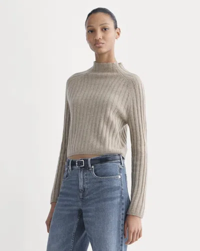 Everlane Funnel-neck Cropped Sweater In Brown