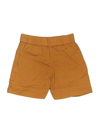 Pre-owned Everlane Khaki Shorts In Brown