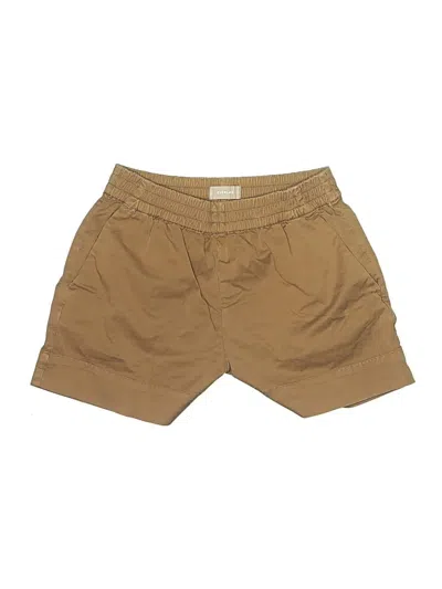 Pre-owned Everlane Khaki Shorts In Tan