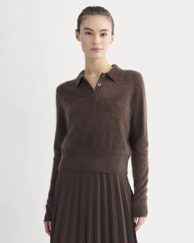 Everlane Lush Cashmere Cropped Polo Sweater In Raven In Brown