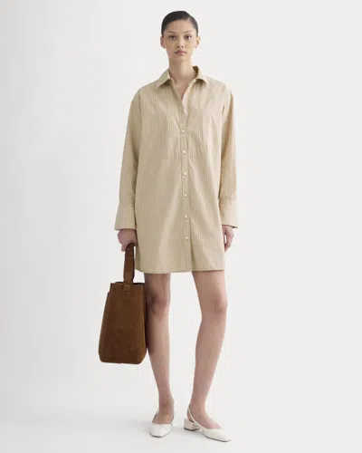 Everlane Mini Shirtdress In Transparent