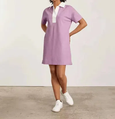 Everlane Organic Cotton Polo Dress In Lilac In Purple