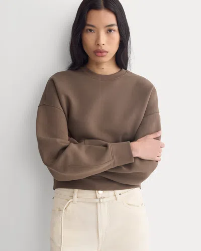 Everlane Oversized Cocoon Crew In Elevated Cotton In Chocolate