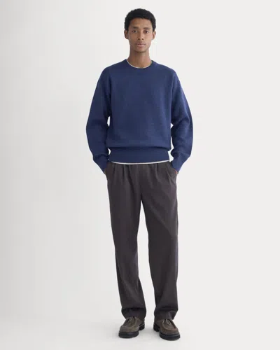 Everlane Pleated Trouser In Blue