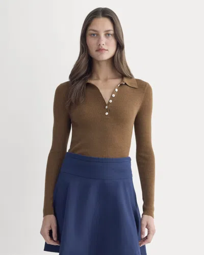 Everlane Polo Sweater In Brown