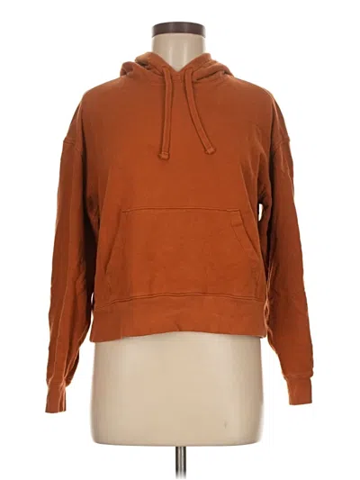 Pre-owned Everlane Pullover Hoodie In Brown