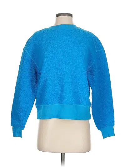 Pre-owned Everlane Pullover Sweater In Blue