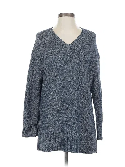 Pre-owned Everlane Pullover Sweater In Blue
