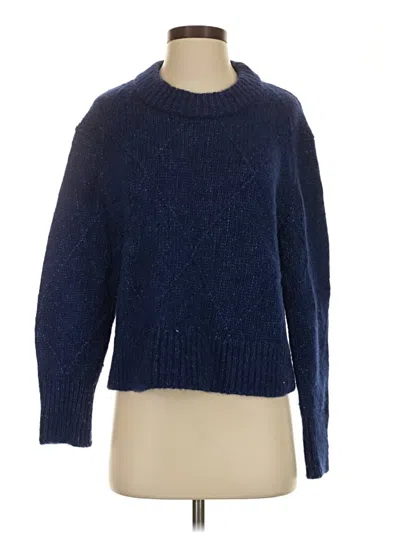 Pre-owned Everlane Pullover Sweater In Blue
