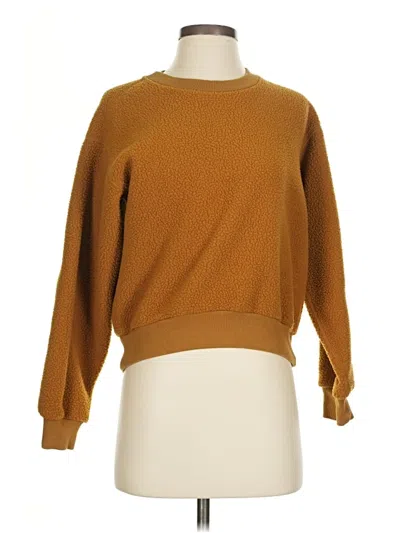 Pre-owned Everlane Pullover Sweater In Brown