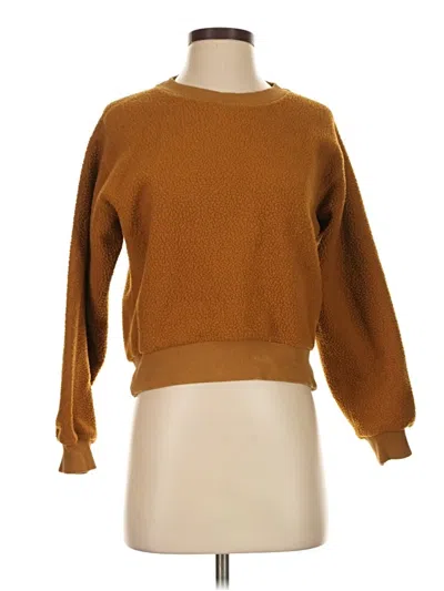 Pre-owned Everlane Pullover Sweater In Brown