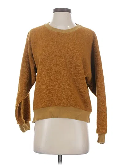 Pre-owned Everlane Pullover Sweater In Brown