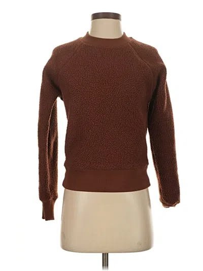 Pre-owned Everlane Pullover Sweater In Brown