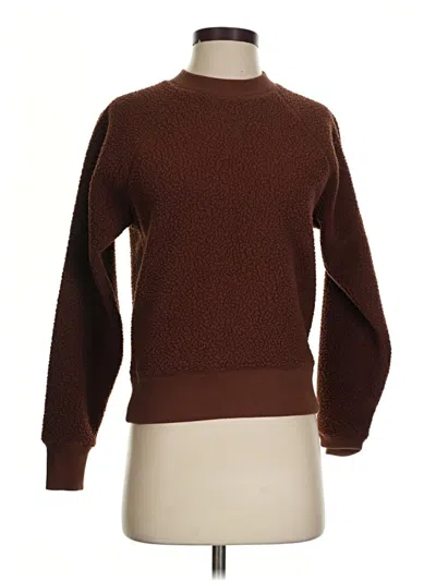 Pre-owned Everlane Pullover Sweater In Brown