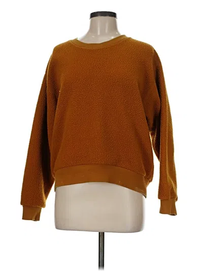 Pre-owned Everlane Pullover Sweater In Brown