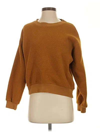 Pre-owned Everlane Pullover Sweater In Brown