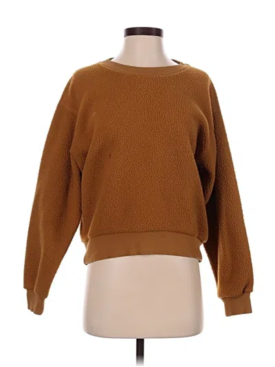 Pre-owned Everlane Pullover Sweater In Brown