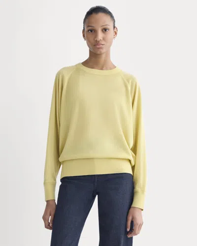 Everlane Raglan Sweater In White