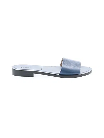 Pre-owned Everlane Sandals In Blue