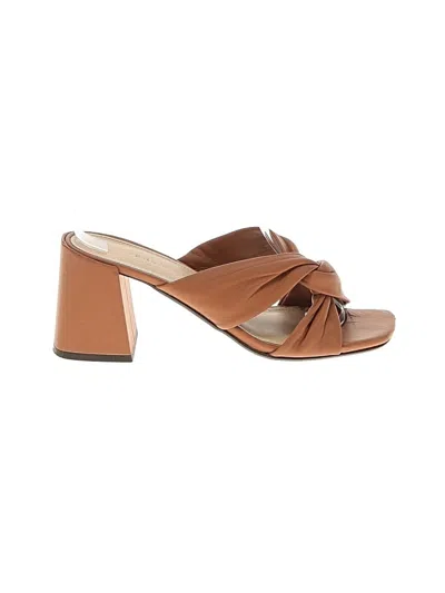 Pre-owned Everlane Sandals In Brown