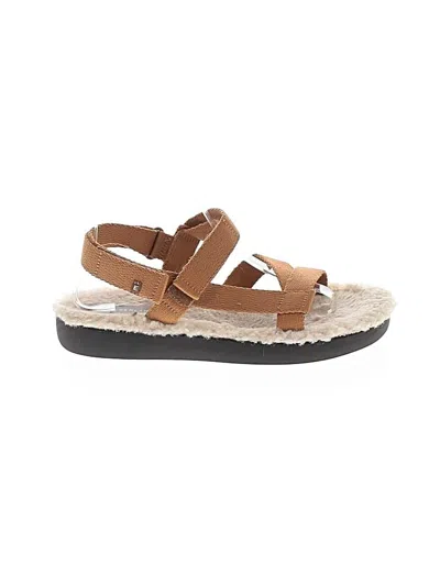 Pre-owned Everlane Sandals In Brown