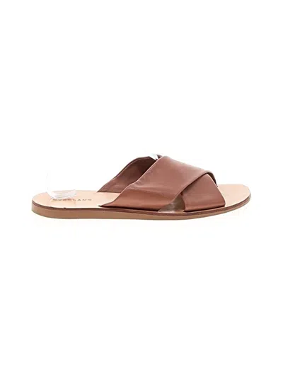 Pre-owned Everlane Sandals In Brown
