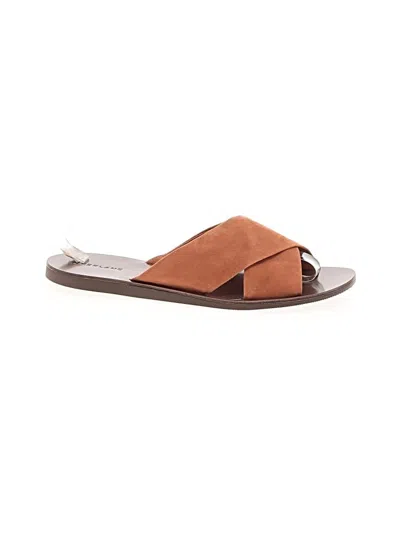 Pre-owned Everlane Sandals In Brown